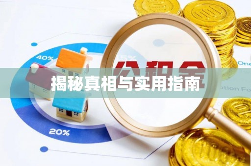 水富揭秘真相与实用指南