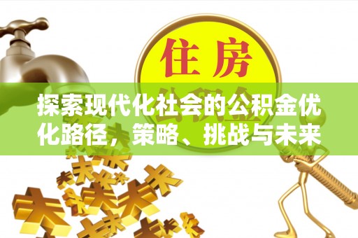 水富探索现代化社会的公积金优化路径，策略、挑战与未来展望