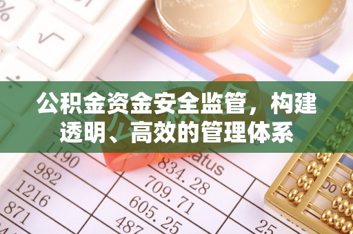 水富公积金资金安全监管，构建透明、高效的管理体系
