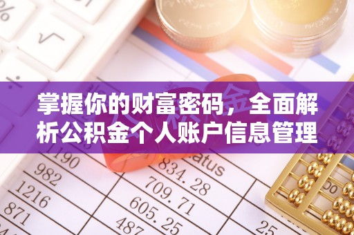 水富掌握你的财富密码，全面解析公积金个人账户信息管理