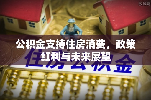 水富公积金支持住房消费，政策红利与未来展望