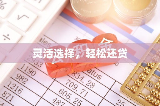 水富灵活选择，轻松还贷