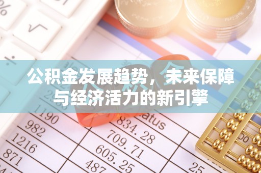 水富公积金发展趋势，未来保障与经济活力的新引擎