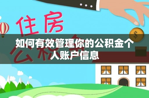 水富如何有效管理你的公积金个人账户信息