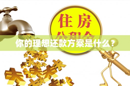 水富你的理想还款方案是什么？
