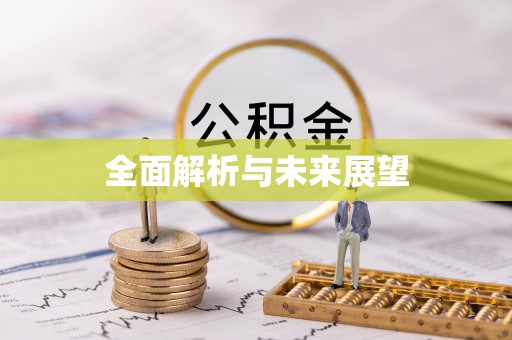水富全面解析与未来展望