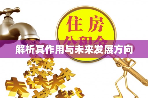 水富解析其作用与未来发展方向