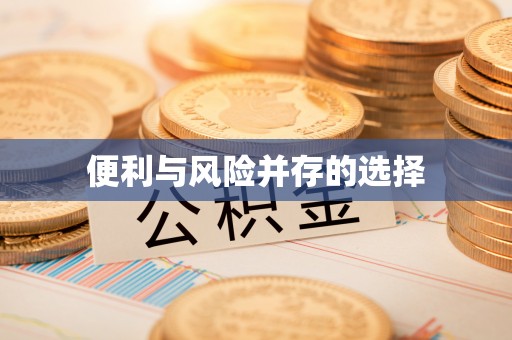 水富便利与风险并存的选择