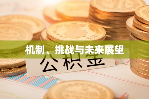 水富机制、挑战与未来展望