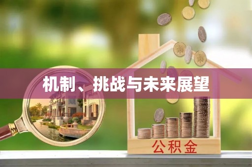 水富机制、挑战与未来展望